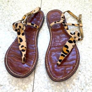 Sam edelman gigi leopard sandal